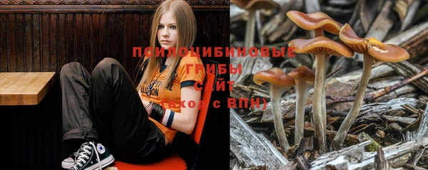 mdpv Белоозёрский