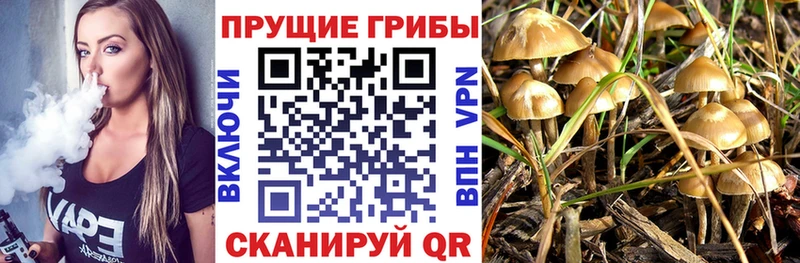 даркнет сайт  Павловская  KRAKEN ONION  Псилоцибиновые грибы прущие грибы 